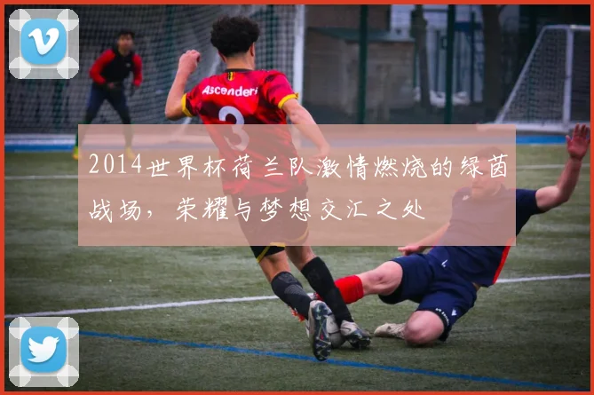 2014世界杯荷兰队激情燃烧的绿茵战场，荣耀与梦想交汇之处