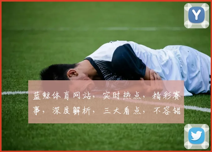 蓝鲸体育网站，实时热点，精彩赛事，深度解析，三大看点，不容错过