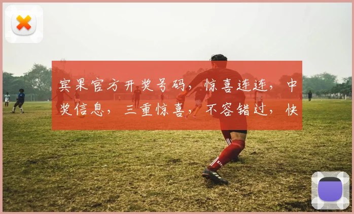 宾果官方开奖号码，惊喜连连，中奖信息，三重惊喜，不容错过，快来看看