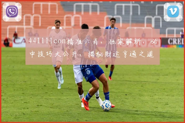 441111con精准六肖，独家解析，必中技巧大公开，揭秘财运亨通之道