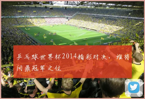 乒乓球世界杯2014精彩对决，谁将问鼎冠军之位